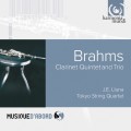 布拉姆斯：豎笛三重奏、豎笛五重奏　Brahms：Clarinet Quintet & Trio